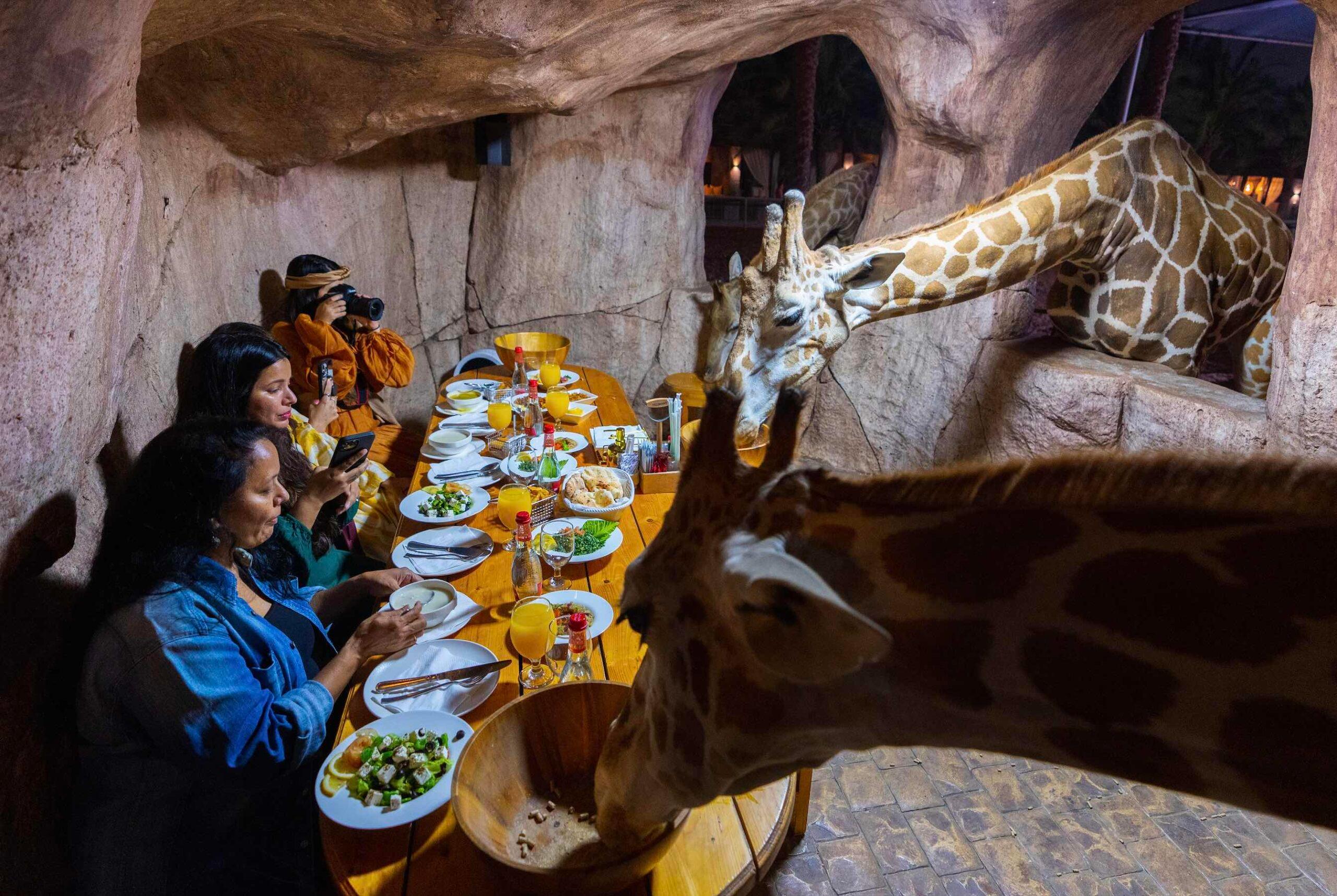 Enjoy iftar with the animals at Emirates Park Zoo this Ramadan