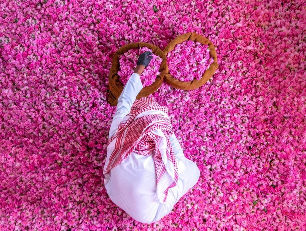 Celebrate spring at Saudi Arabia&#8217;s Taif Rose Festival