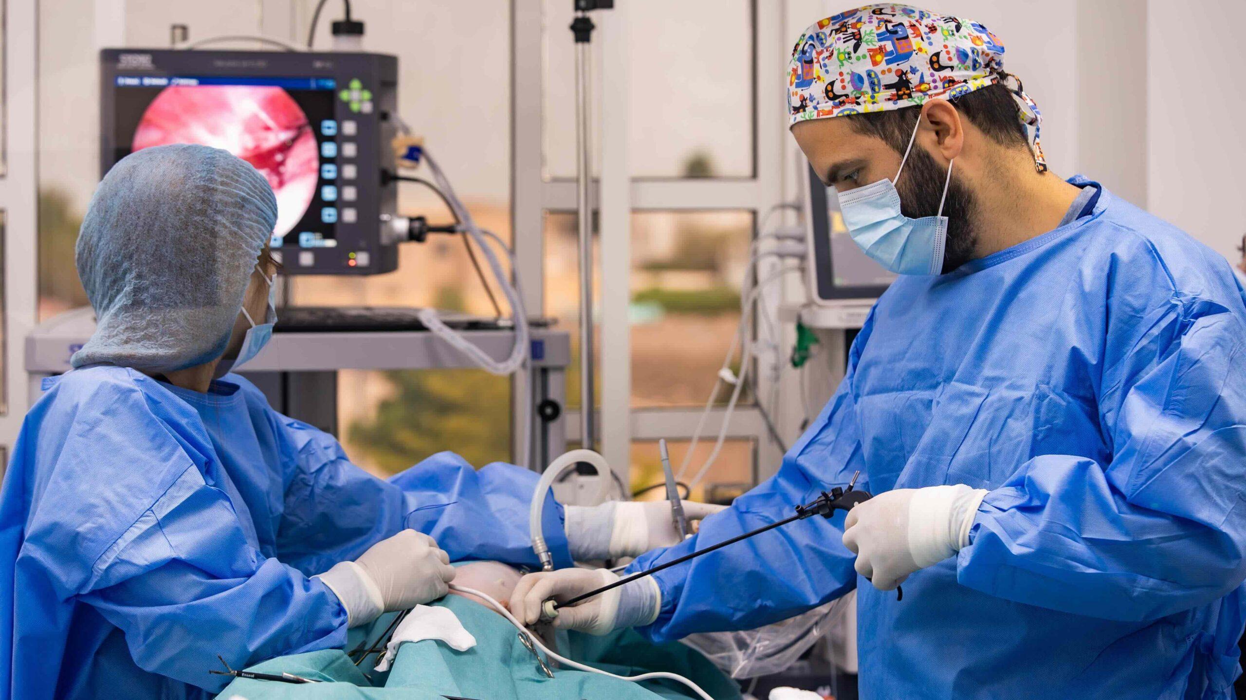 Modern Vet celebrates 30 years of pet-friendly service