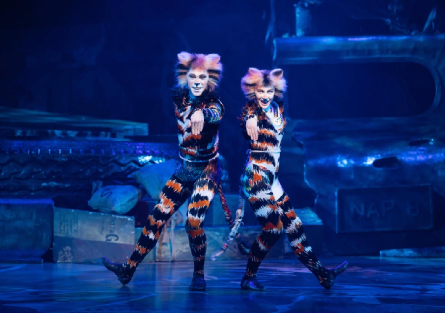 Cats The Musical will open at Abu Dhabi’s Etihad Arena in spring 2026