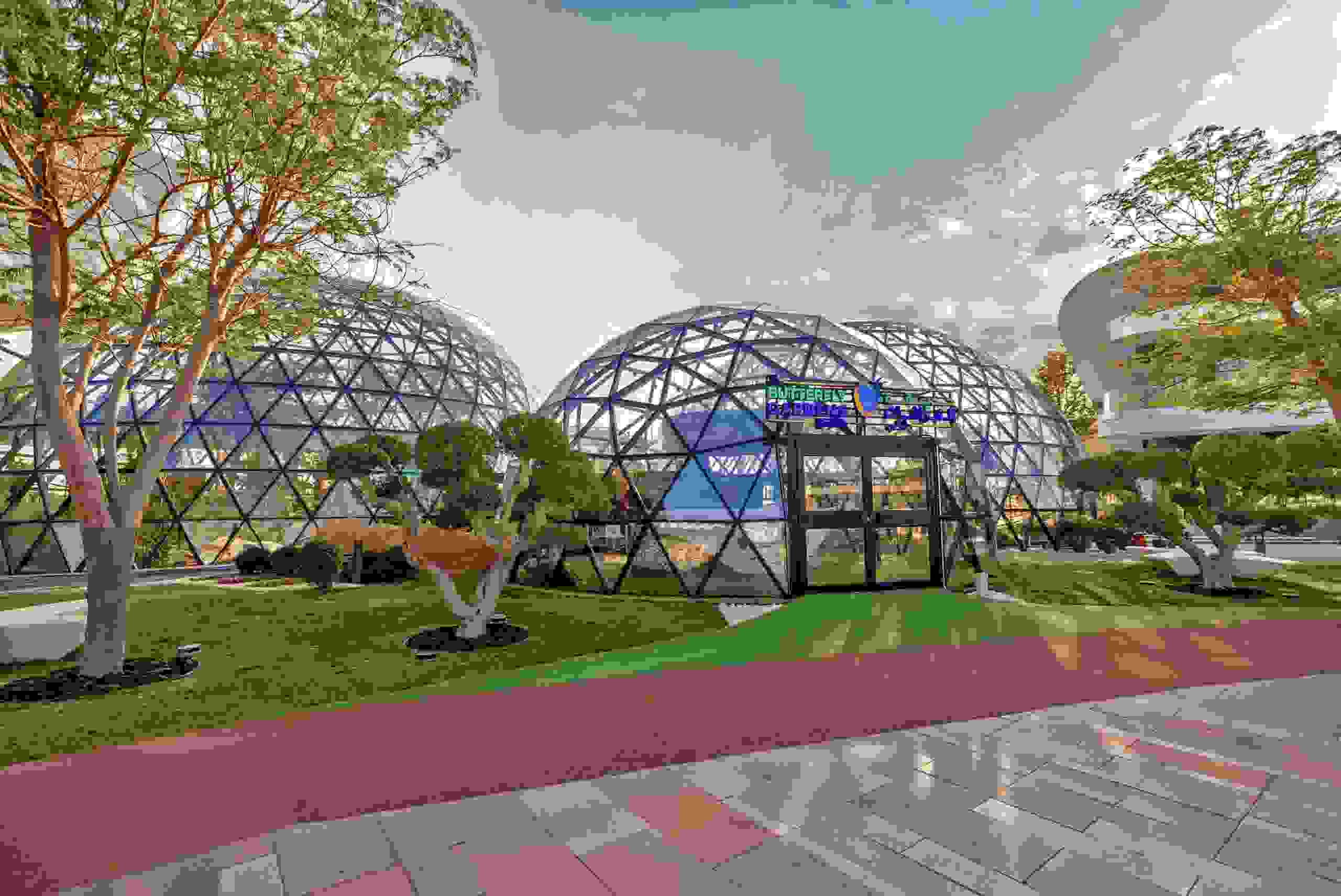 The Butterfly Gardens Abu Dhabi flutters into the capital-image