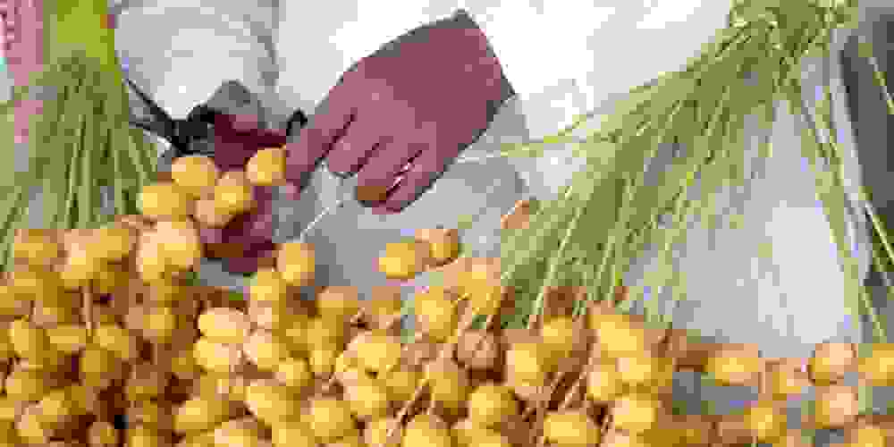 Celebrate tradition and taste at the Al Ain Dates Festival 2026-image